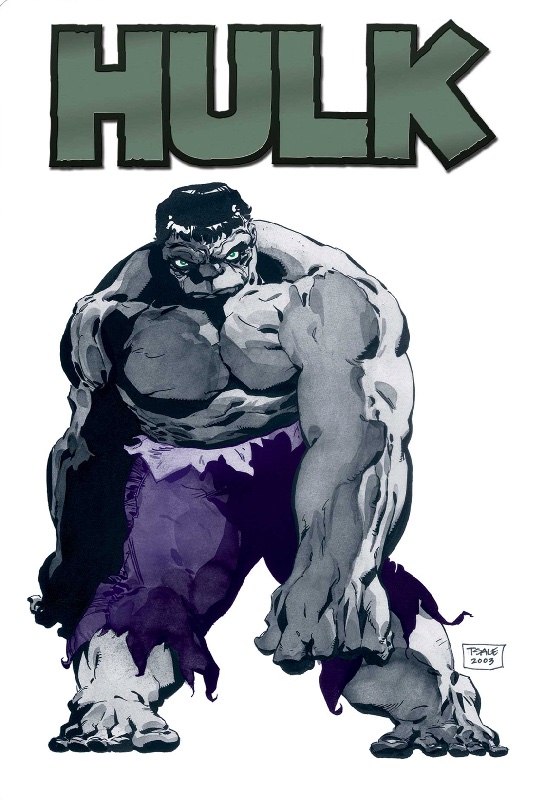 Hulk Gray by Jeph Loeb and Tim Sale Gallery HC